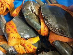 -杨记海鲜楼(三门黑金冠店)