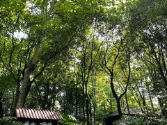 -青城道汤池