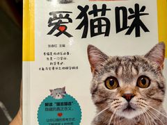 -万达广场(南宁青秀店)