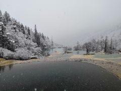-黄龙山原始森林景区