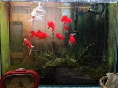 -懒鱼时光馆(沙坪坝店)