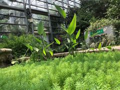 -南山植物园