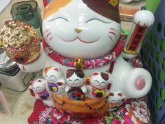 -爱乐蒙艺术·古筝 钢琴 声乐(科华校区)