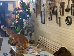 -平行世界·猫咖(首经贸店)