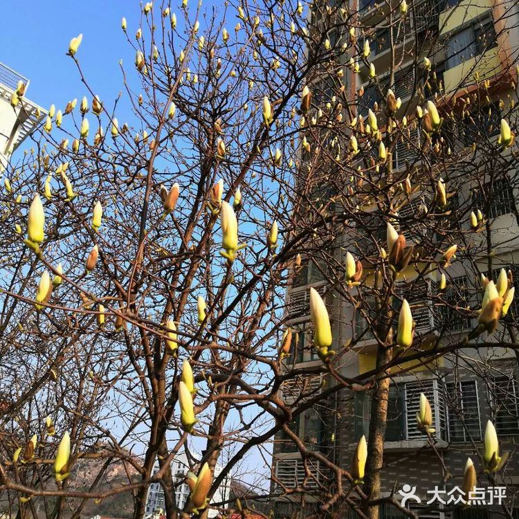 外卖不送上门又不能出去的日子有好多好多想吃的