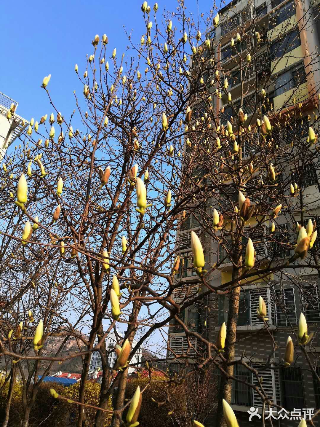 外卖不送上门又不能出去的日子有好多好多想吃的