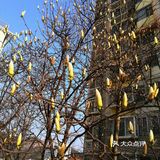 外卖不送上门又不能出去的日子有好多好多想吃的