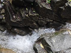 -火炉山森林公园