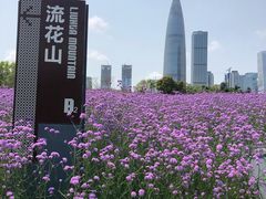 -深圳湾公园(南山区)
