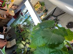 -nodcafe(M50创意园店)