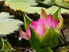 -国家植物园南园