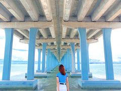 -宝安西湾红树林湿地公园