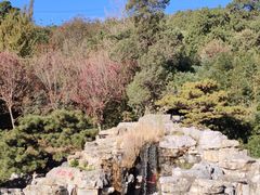 -香山公园