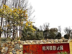 -府河摄影公园