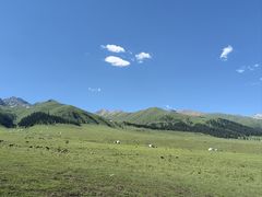 -新疆那拉提国家旅游度假区