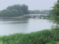 -大兴滨河森林公园