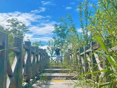 -野鸭湖国家湿地公园