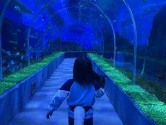 -石家庄极地海洋世界