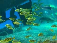 -福州罗源湾海洋世界旅游区