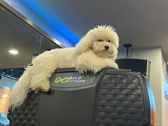 -NRG 健身私教CLUB(云山路店)