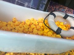 -北京金融街丽思卡尔顿酒店·意味轩 Cepe