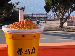 -养马岛旅游度假区