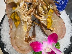 -海月轩海鲜豆捞(紫金塔店)