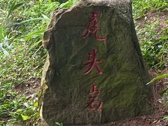 -铁山坪森林公园