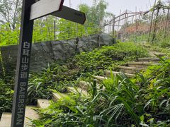 -南山植物园