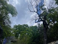 -鹫峰国家森林公园