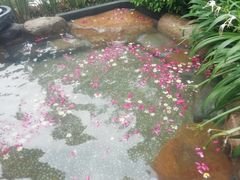 -厦门日月谷温泉渡假村