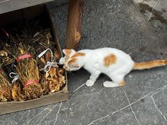 -高淳老街
