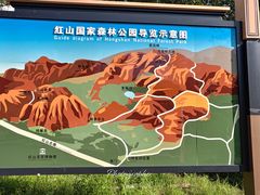 -红山国家森林公园