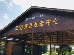 -祁门牯牛降观音堂风景区