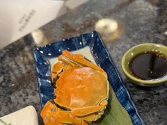 -菊上料理(蜀山银泰百货店)