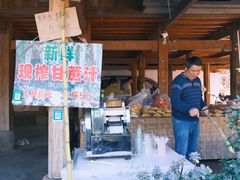 -西双版纳傣族园
