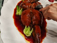 -丁老爷子苏香圆