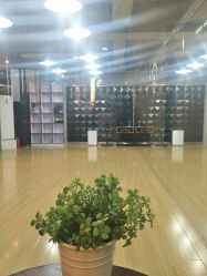 -DOS HOP潮上舞蹈