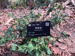 -广州市白云山风景名胜区