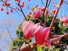 -常熟路(地铁站)