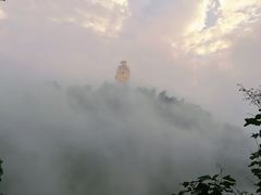 -大金鹰园