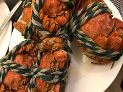 -安蒂娅·海鲜自助餐厅(安蒂娅美兰酒店)