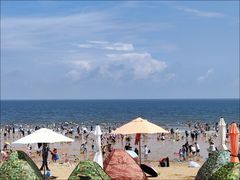 -巧克力渔家.小船海鲜胶东菜(万平口店)