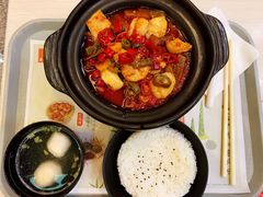 -东方既白(上海浦东国际机场)