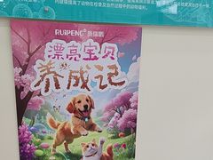 -美联众合动物医院·24h京西诊疗中心