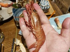 -蟹将军·松叶蟹和牛日料放题自助(K11店)