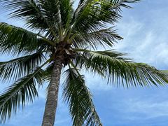 -三亚南山文化旅游区