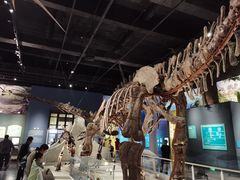 -国家自然博物馆