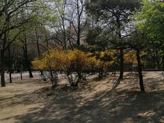 景点-方庄体育公园