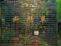 -广州神农草堂中医药博物馆